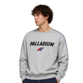 Vintage Palladium Logo Sweatshirt -1011726-040