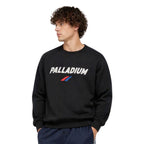 Vintage Palladium Logo Sweatshirt -1011726-008