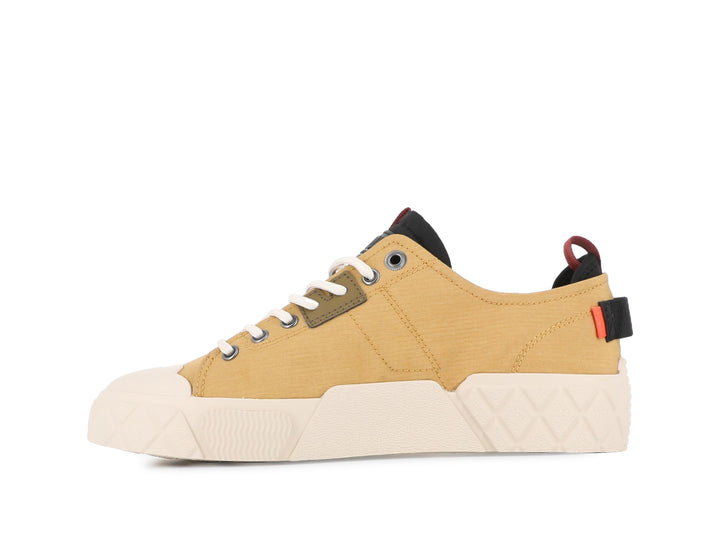 ACE CITY SHELL FALL GOLD