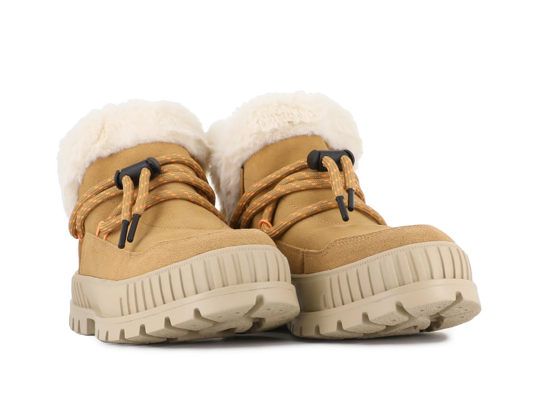 PALLASHOCK LO HIVER IRISH BROWN